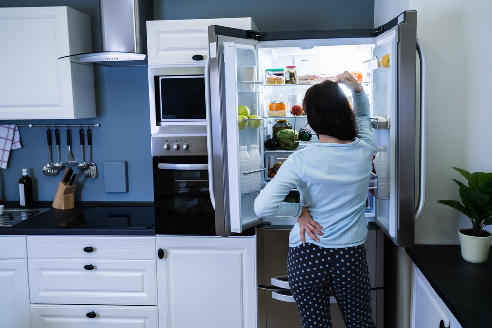 6 Common Refrigerator Problems You Should Know About common refrigerator problems